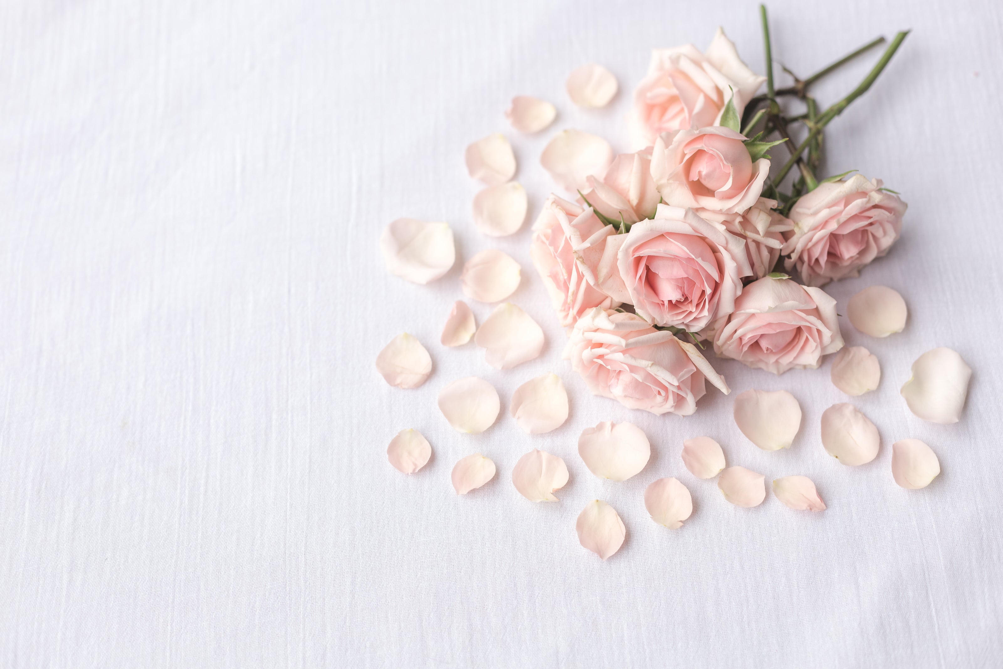 Coquette aesthetic iPhone and Samsung phone case with blush pink tones and romantic floral accents.